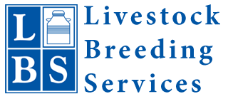 Livestock Breeding Services